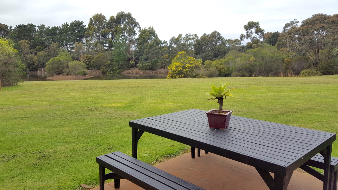 View from outdoor area at 2 bedroom cottage